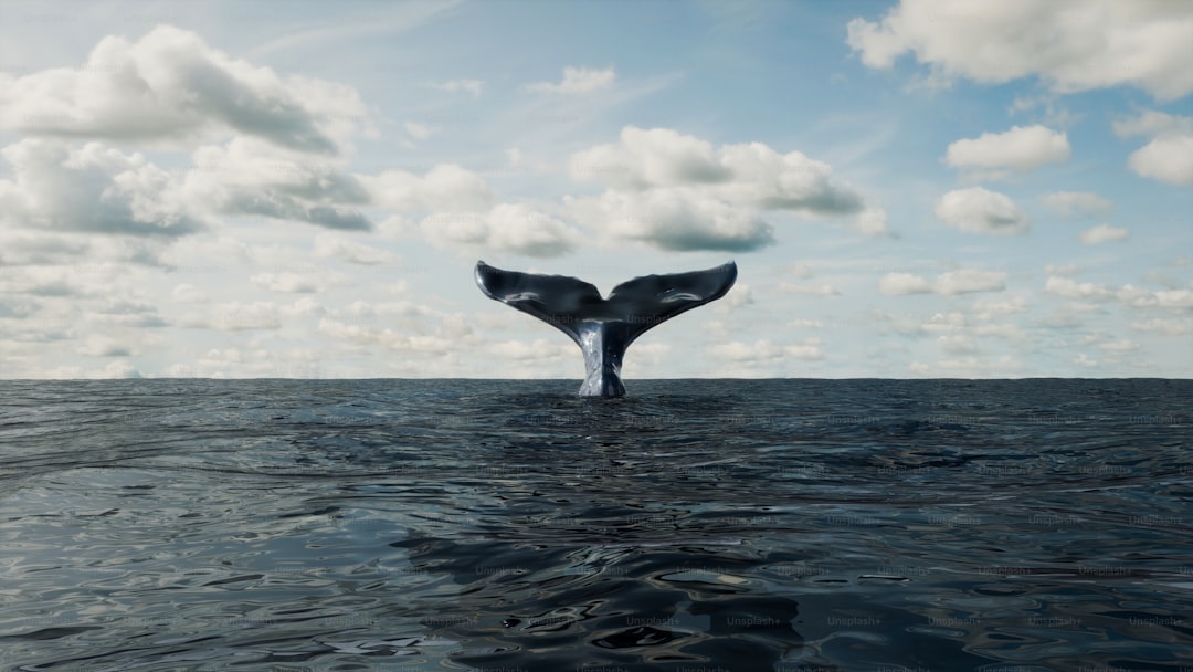 Bitcoin Dominance: On-Chain and Macro Made Practical