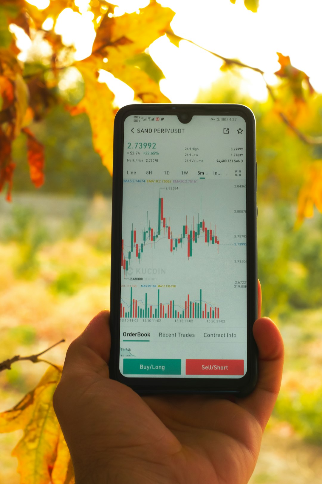 Free Telegram Crypto Signals Signal Audit Framework for 2026