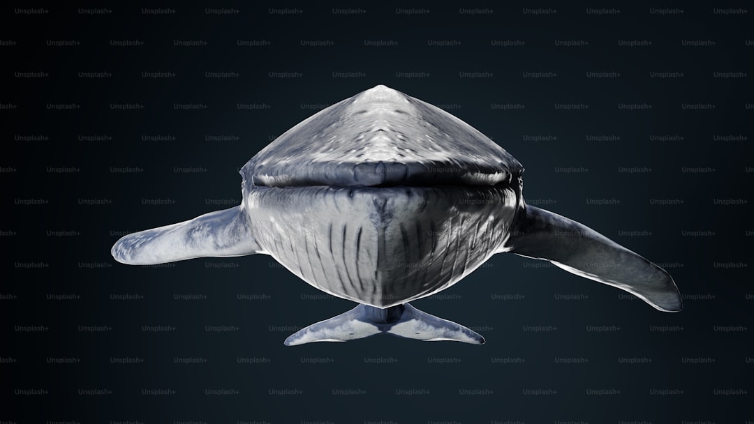 News Filtering: On-Chain and Macro Made Practical